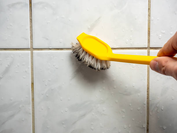 Best Mold Removal Company Near Me  in Lake Camelot, IL