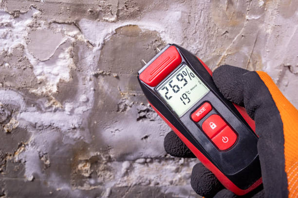 Best Home Mold Removal  in Lake Camelot, IL