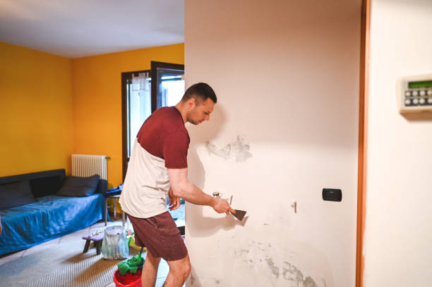 Best Same-Day Mold Removal  in Lake Camelot, IL